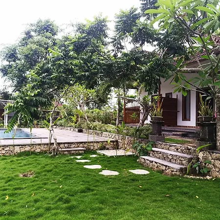 Green Sunrise Hill View